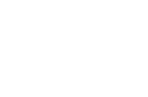 UNIÓN VENEZOLANA EN PERÚ - Coalición por Venezuela